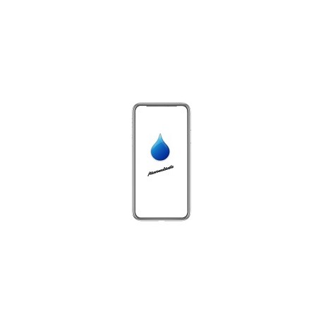 Désoxydation iPhone XS Max contact liquide