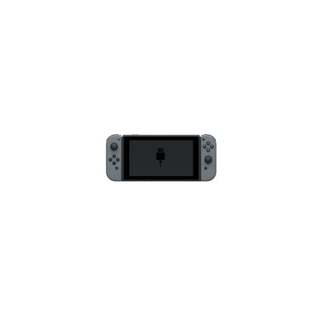 Rération port connecteur de charge Nintendo Switch OLED
